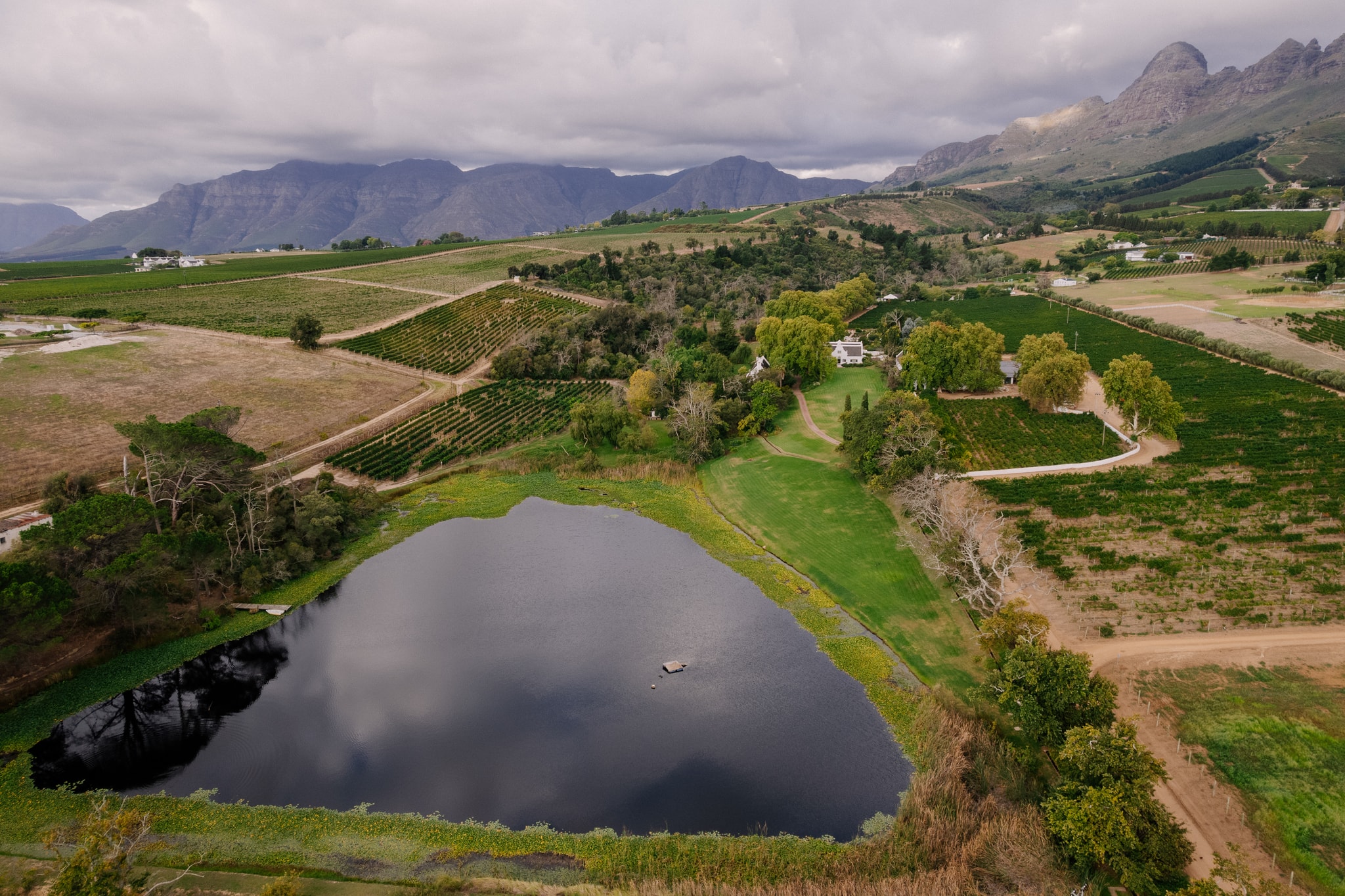 Helderberg Mountain landscape with vineyards